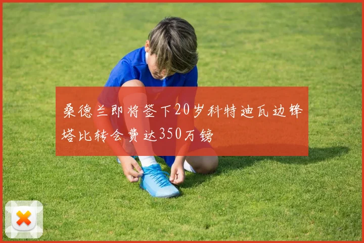 桑德兰即将签下20岁科特迪瓦边锋塔比转会费达350万镑
